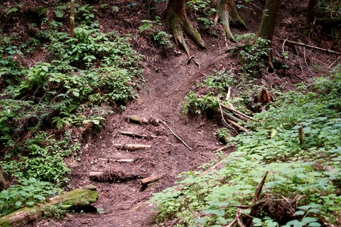 軽井沢宿から坂本宿まで中山道83