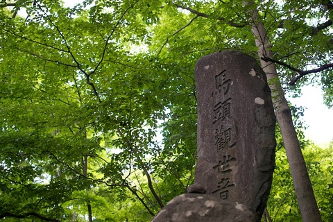 軽井沢宿から坂本宿まで中山道86