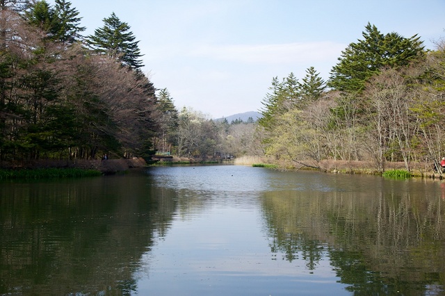 軽井沢　雲場池　雲場亭ランチ07