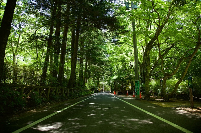 ６月の軽井沢雲場池01