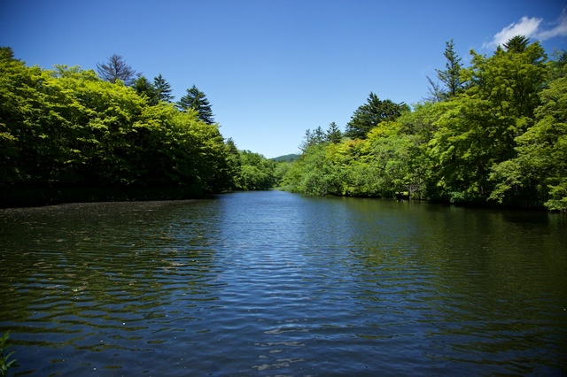 ６月の軽井沢雲場池02