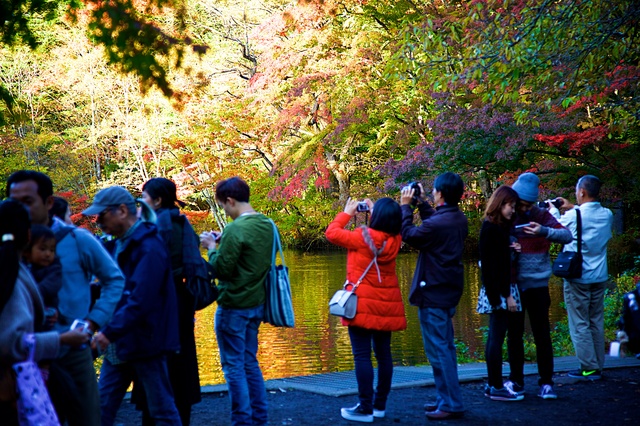 2016軽井沢紅葉01