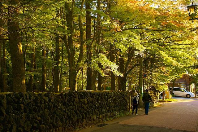 2016軽井沢紅葉03