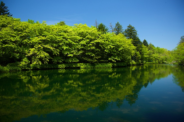 新緑の軽井沢雲場池02