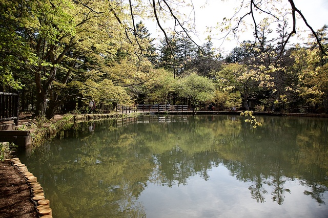 雲場池リニューアル（つるや旅館）07