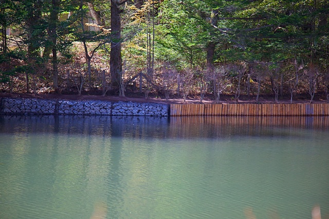雲場池リニューアル（つるや旅館）08