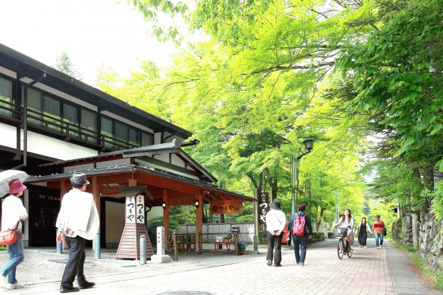 新緑のつるや旅館